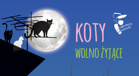 3 koty na dachu na tle pełni księżyca, napis koty wolno żyjące i logo Syrenki z napisem Zakochaj się w Warszawie